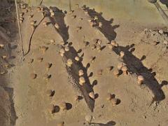 149 MUSEE DU CHAMPIGNON A  SAUMUR 2016 1_000027